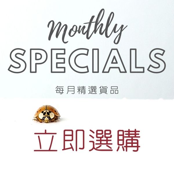 Monthly Specials